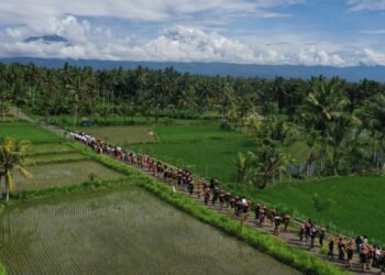 Ritual Adat Nunas Nede, Cara Warga Kesik Menjaga Air di Tengah Ancaman Krisis Iklim